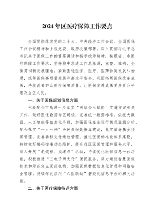 2024年区医疗保障工作要点(1)