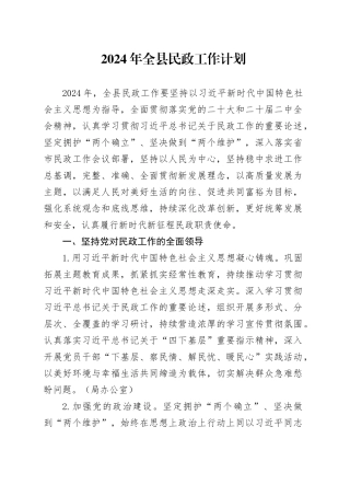 2024年全县民政工作计划（20240325）