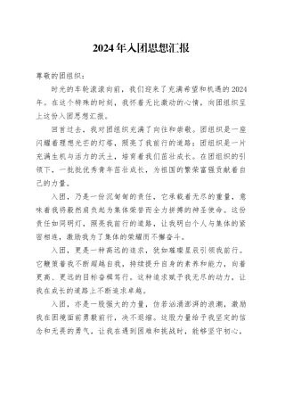 2024年入团思想汇报
