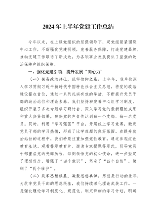 2024年上半年党建工作总结汇报报告20240726