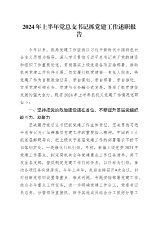 2024年上半年党总支书记抓党建工作述职报告