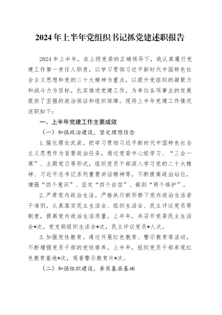 2024年上半年党组织书记抓党建述职报告