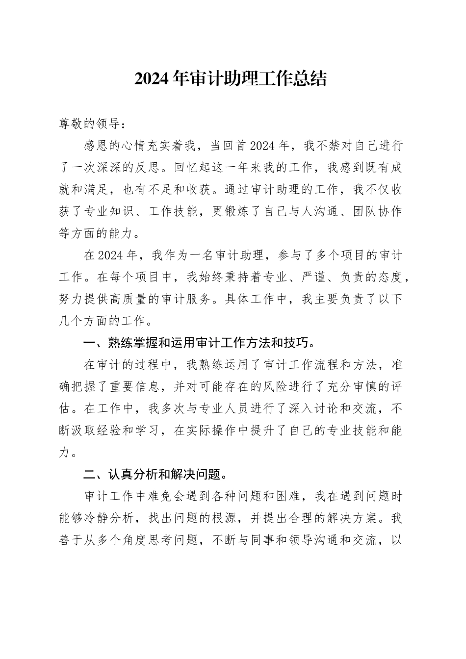 2024年审计助理工作总结范文_第1页