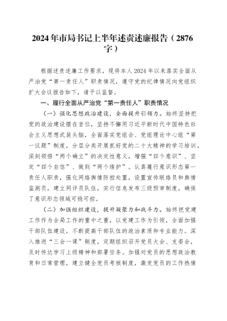 2024年市局书记上半年述责述廉报告（2876字）