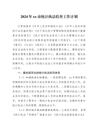 2024年市统计执法检查工作计划