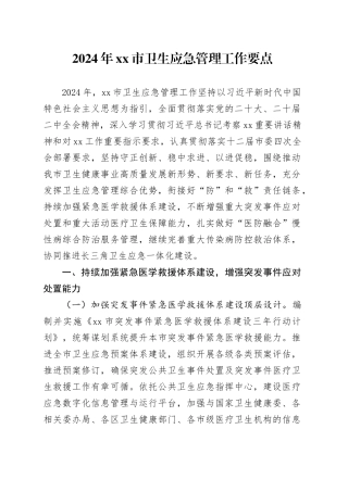 2024年市卫生应急管理工作要点