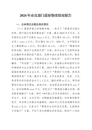 2024年市直部门巡察整改情况报告