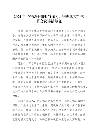 2024年推动干部担当作为狠抓落实部署会议讲话20240408
