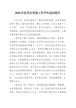 2024年县非公党建工作半年总结报告