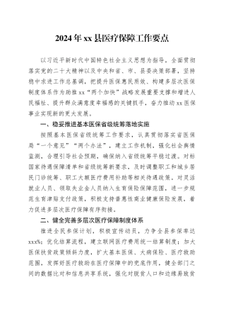 2024年县医疗保障工作要点（20240527）