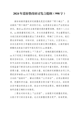 2024年巡察整改研讨发言提纲（998字）