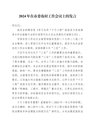 2024年在市委农村工作会议上的发言