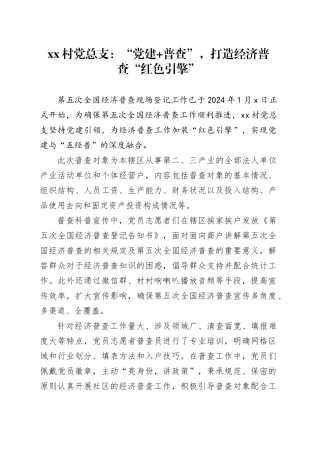 xx村党总支：“党建 普查”，打造经济普查“红色引擎”