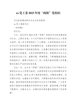 XX党工委2023年度“两新”党组织书记抓党建述职评议会议讲话提纲