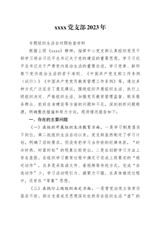 XX党支部2023年专题组织生活会对照检查材料