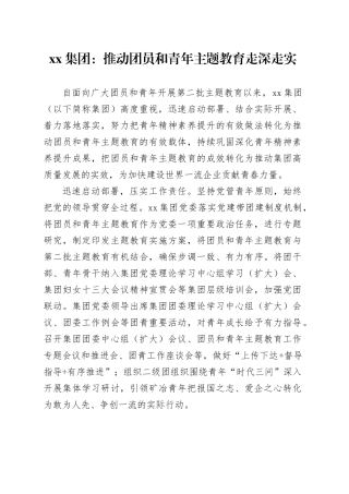 xx集团：推动团员和青年主题教育走深走实