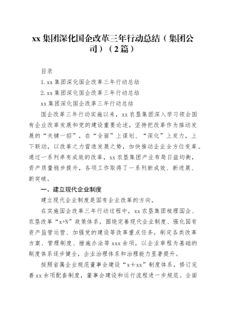 xx集团深化国企改革三年行动总结（集团公司）（2篇）