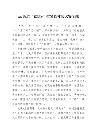 xx街道“党建 ”拉紧森林防火安全线
