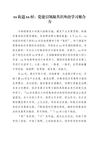 xx街道xx村：党建引领凝共识 外出学习聚合力