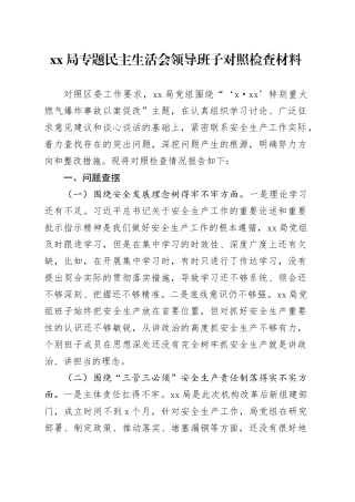 XX局专题民主生活会领导班子对照检查材料