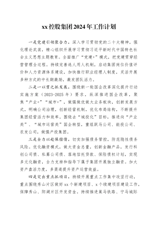 XX控股集团2024年工作计划（20240222）