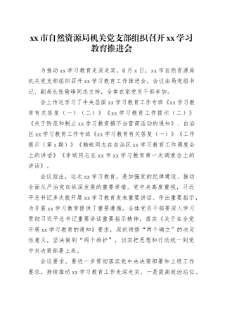 xx市自然资源局机关党支部组织召开xx学习教育推进会