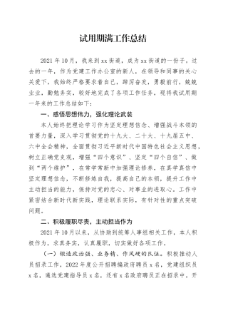 XX试用期工作总结