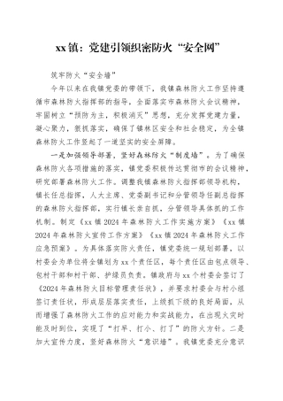 xx镇：党建引领织密防火“安全网”  筑牢防火“安全墙”