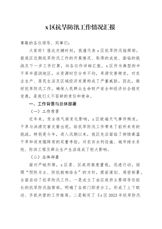 X区抗旱防汛工作情况汇报