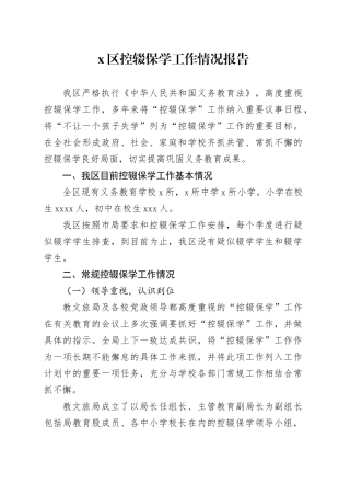 X区控辍保学工作情况报告