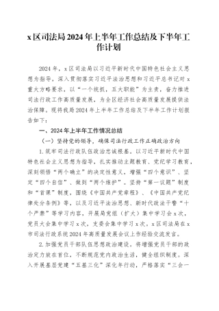 X区司法局2024年上半年工作总结及下半年工作计划