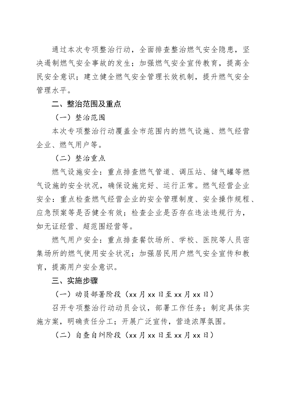 X市城市管理燃气安全专项整治行动实施方案_第2页