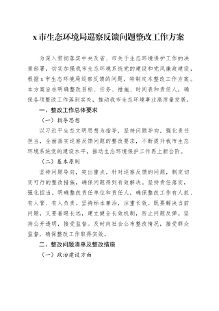X市生态环境局巡察反馈问题整改工作方案