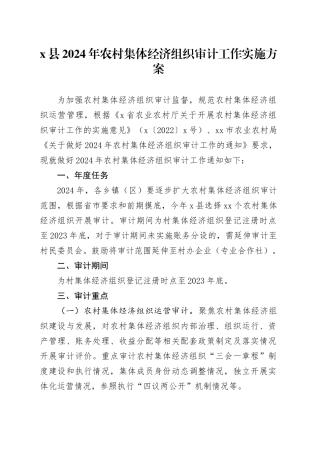 X县2024年农村集体经济组织审计工作实施方案