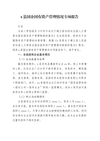 X县国企国有资产管理情况专项报告