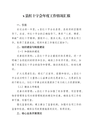 X县红十字会年度工作情况汇报