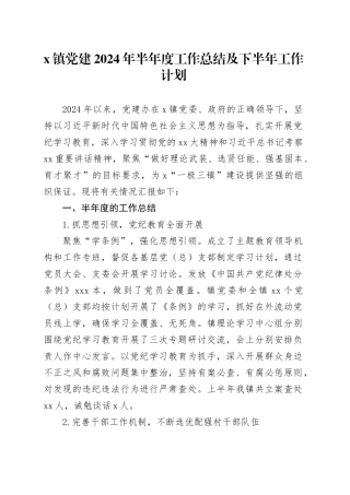 X镇党建2024年半年度工作总结及下半年工作计划