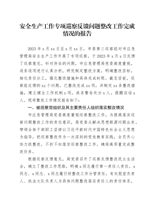 安全生产工作专项巡察反馈问题整改工作总结报告（应急11000字）