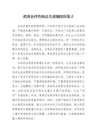 把涉企任性执法关进制度的笼子