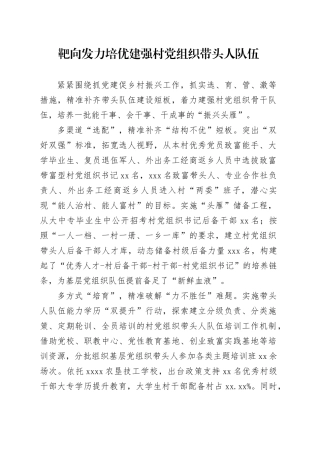 靶向发力培优建强村党组织带头人队伍