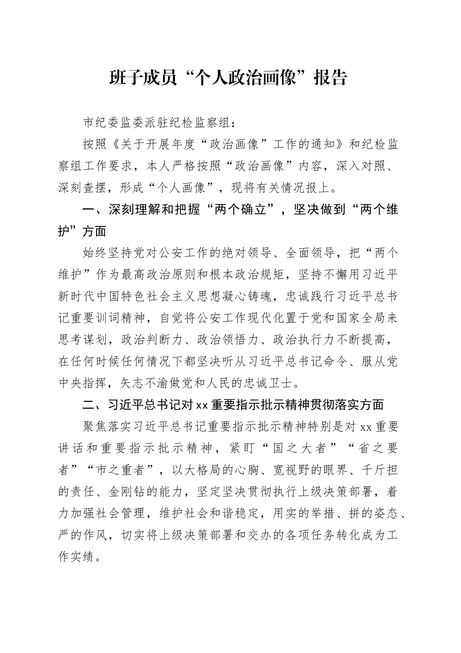 班子成员“个人政治画像”报告_第1页