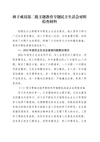 班子成员第二批主题教育民主生活会对照检查材料