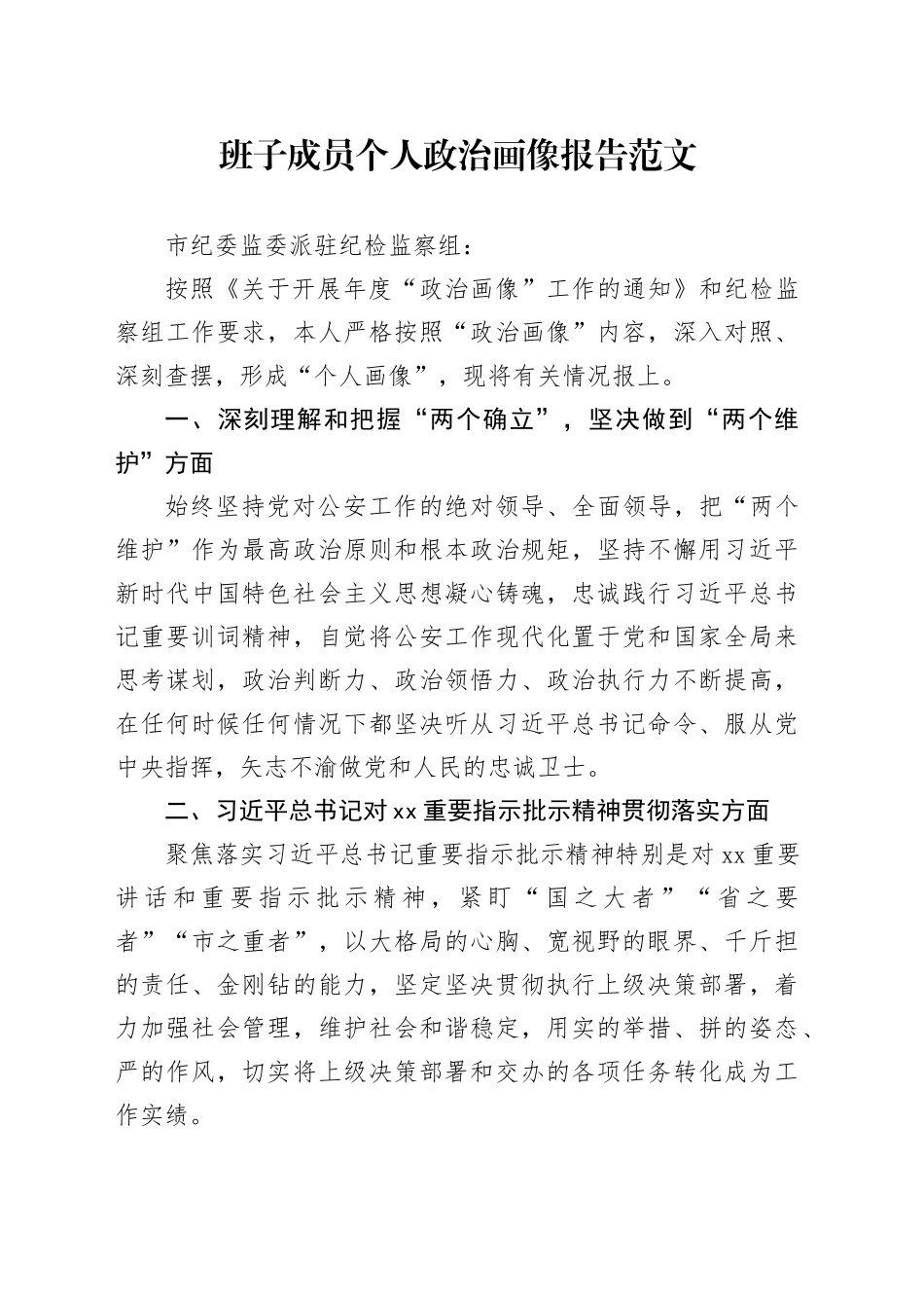 班子成员个人政治画像报告20240223_第1页