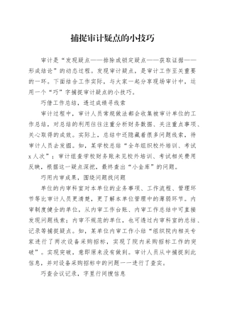 捕捉审计疑点的小技巧