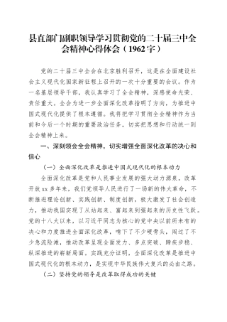 部门副职三中全会研讨发言（1962字）