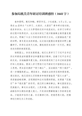 参加局机关青年研讨培训班感悟（1641字）