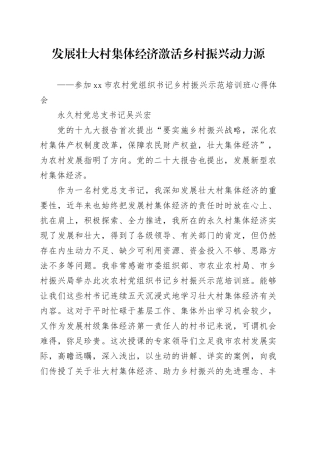 参加市农村党组织书记乡村振兴示范培训班心得体会