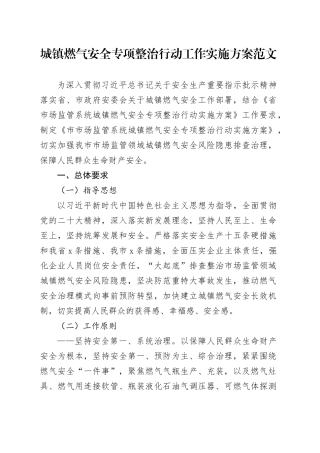 城镇燃气安全专项整治行动工作实施方案20240304