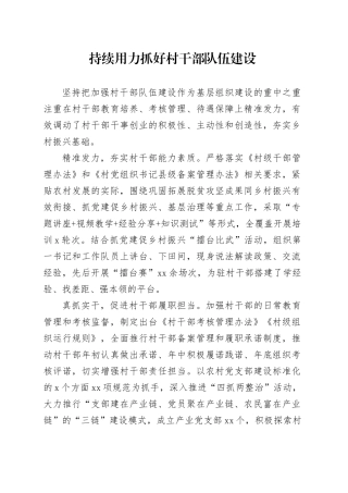 持续用力抓好村干部队伍建设