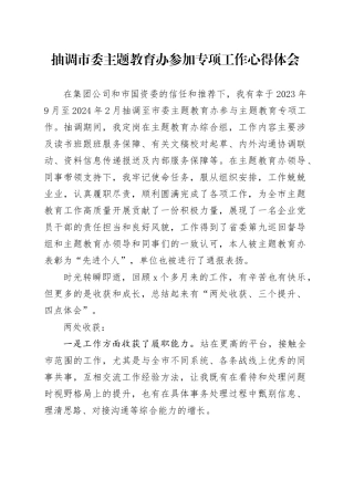 抽调市委主题教育办参加专项工作心得体会（发言）